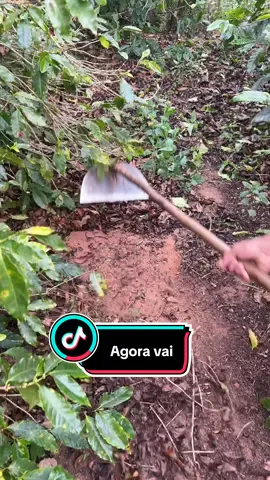 Quando eu acho que ta acabando #roça #agricultura #trabalhomanual 