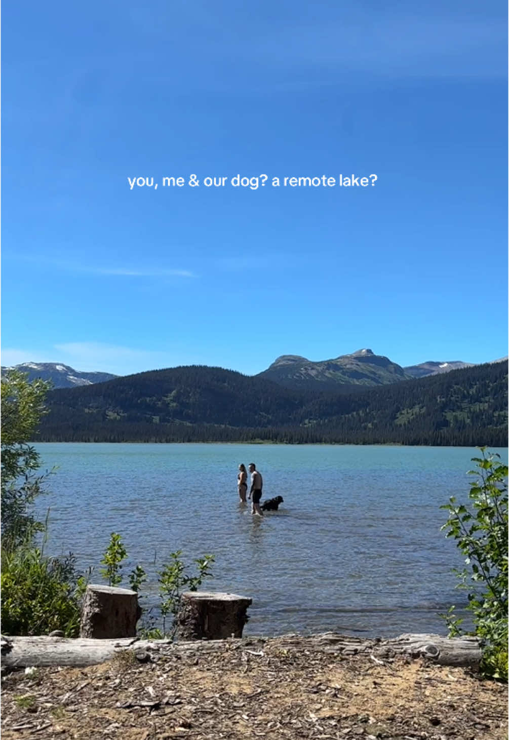 🥹 #canadatiktok #blacklabrador #Outdoors #camping #britishcolumbiacanada 