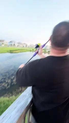 #salttexas 