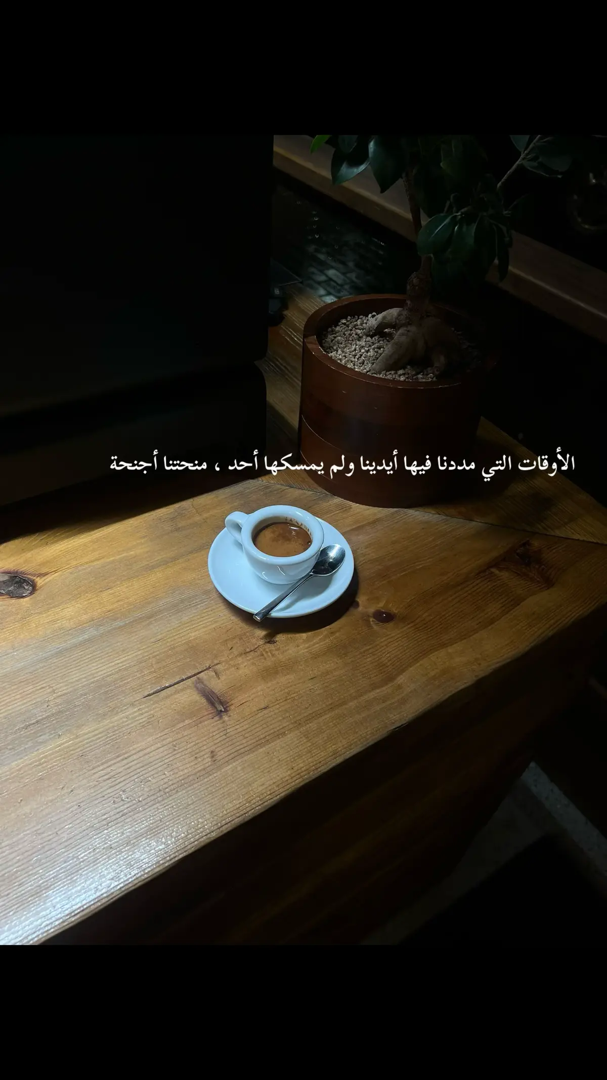 #الطائف_الان #لايك_متابعه #لايكك #اكسبلور❤️ #محمد_عبده 