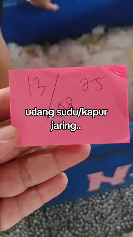 info harga para suhu..