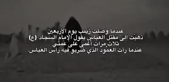يعين الله گَلب زينَب 💔،#اللهم_عجل_لوليك_الفرج #ليلة_الاربعين #زيارة_الأربعين #20صفر #اكسبلور 