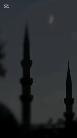#ايات_قرآنية#ادعية #يارب #🤲 #قران 