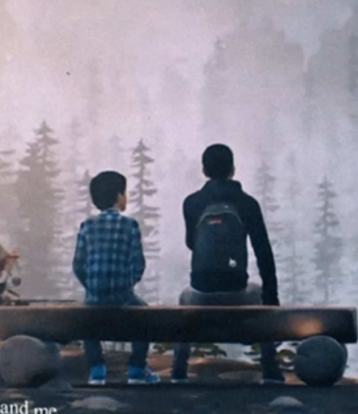 brothers [ sc, seandiazpacks rm, @🐒leonie ]  - #lifeisstrangeedit #lifeisstrange2 #seandiaz #danieldiaz #diazbrothers life is strange edit daniel diaz sean diaz edit dean blunt