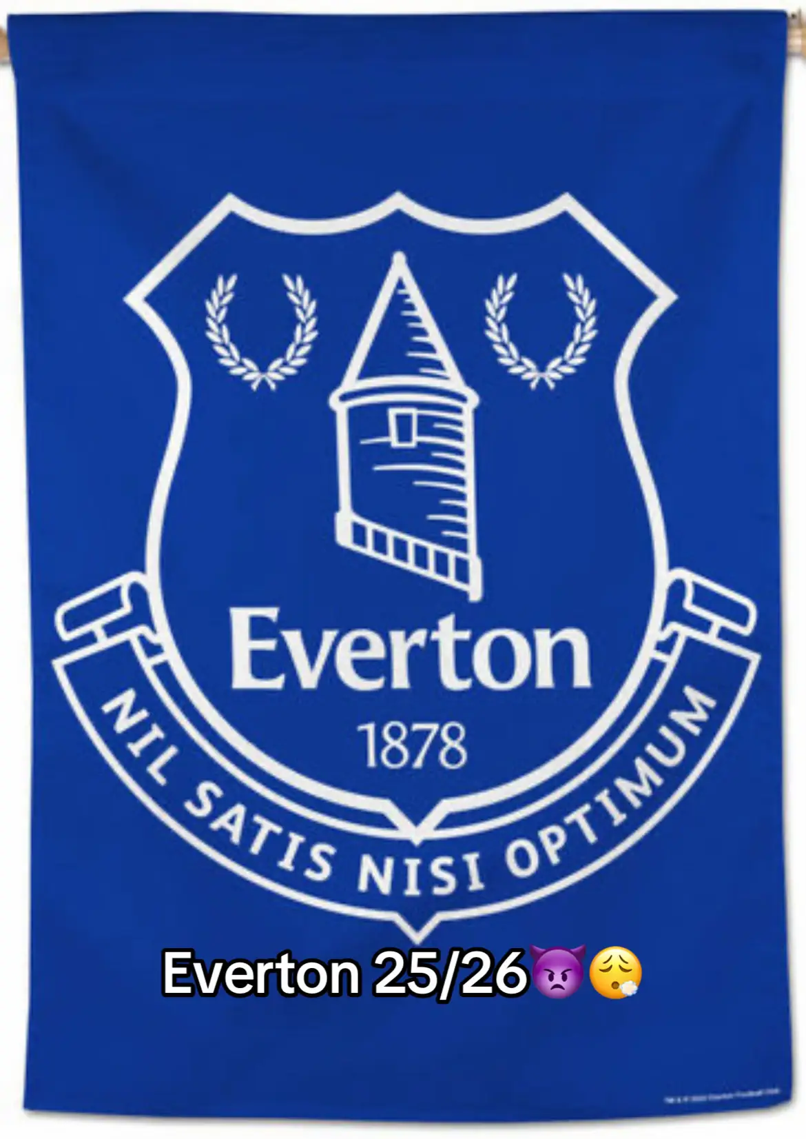 #everton #PremierLeague #fyp #makethisgoviral #viral 