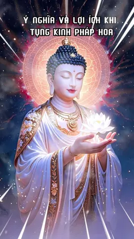 ý nghĩa kinh pháp hoa #kinhphaphoa #hocphatmoingay  #phatphap  #foryou  #fyp 