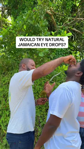 📍@PisgahPine | Apparently you can use this and throw away your prescription glasses 😅🤓 #naturalherbs #jamaicatiktok #jamaicafyp #traveltiktok #stelizabethjamaica 