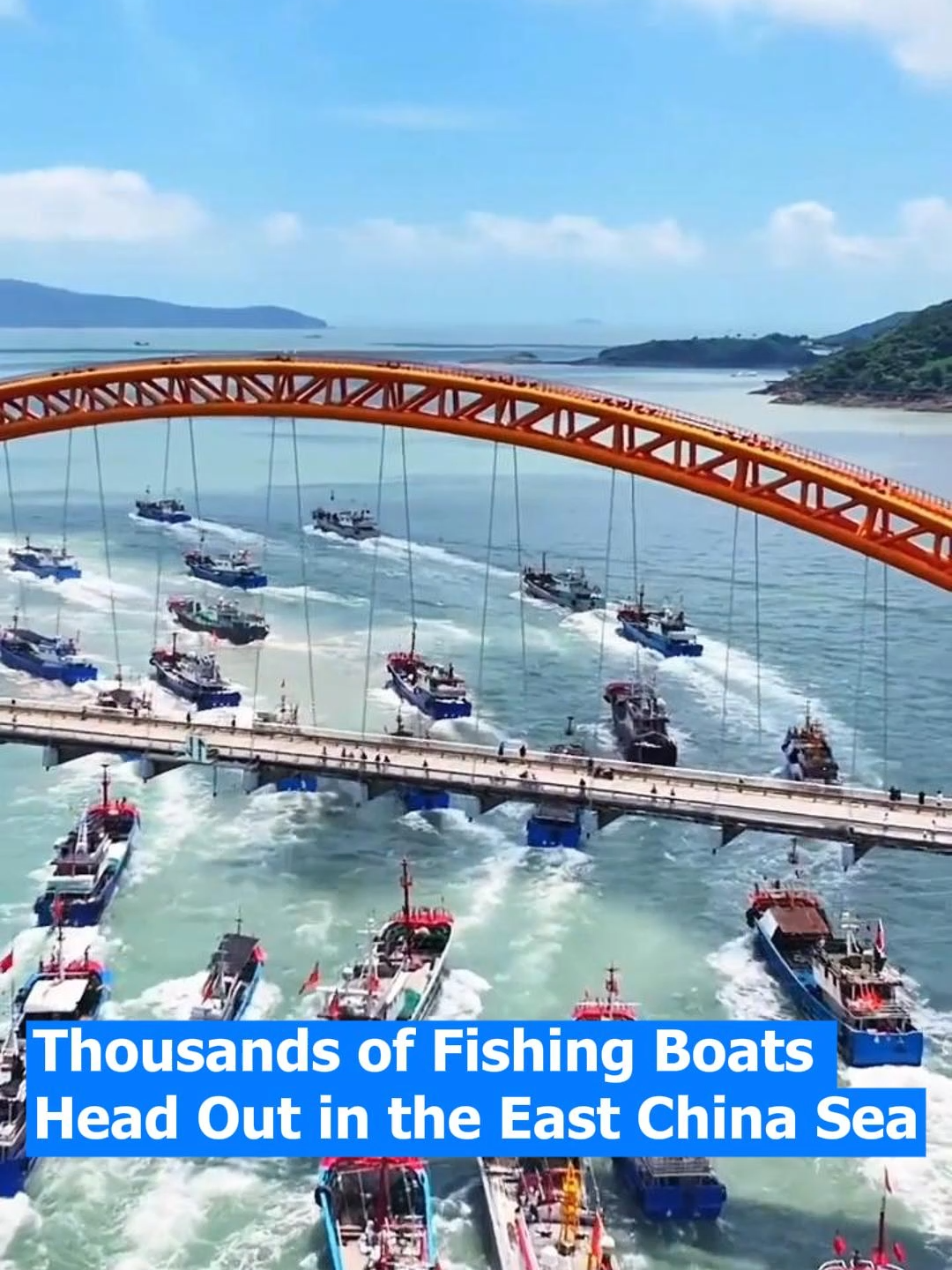 Fishing season kicks off in the East China Sea: thousands of boats set sail, and fresh seafood is on the way! 🚢🪝🐟#FishingSeason #BoatsSetSail