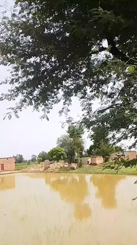 Mera pind#Allha ka farman hy#for #you #page #viral vedo#🌺🌺🌺🌺🥀🥀🥀🌺🌺🌺 