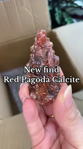 The second release of the new red pagoda calcites! Such a cool mineral displaying multiple generations of growth & formations. See you tomorrow 🍫 #crystaltok #calcite #mineralspecimen #rocksandminerals 