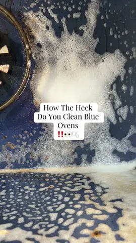 How to clean Blue Ovens PROPERLY!👀✨🫧 NEVER use oven cleaner, plz. #clean #cleaning #CleanTok #cleaningtiktok #cleaning101 #blueovencleaning #cleaningtips #cleaningmotivation #cleaninginspo #solocleaner #cleaningservice #ovencleaning #howtheheckdoyoucleanthis #cleaningseries #kitchencleaning #helpful #fyp #foryou #foryourpage #satisfying #satisfyingvideo #cleaninglady #cleaningbusiness #scrubdaddy #scrubbing #greasebuildup #howtoclean 