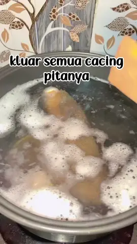 kok bisa yaaaa😱 #beef  #vidio 