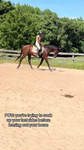 First real ride back from a week of vacay for both of us so easy on us 😭. And Yes, my handsome man is available for lease while I finish another degree