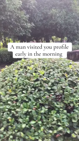 A man visited you profile early in the morning 