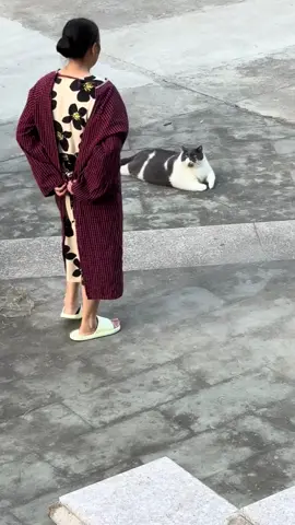 #金喵喵梅路艾姆 早上好妈妈