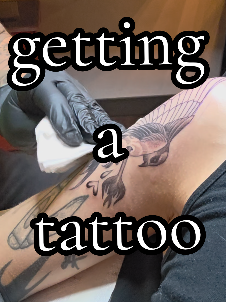 yay, my turn! it was a great experience! I learned a ton from a very experienced tattooer and thats my jam! #tattoos #birdtattoo #swallowtattoo #tattooideas #armtattoo 