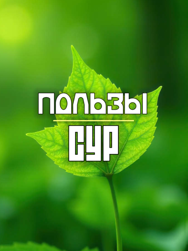 Подборка пользы сур Корана, которые приносят защиту, утешение и милость Аллаха. Узнай, какие аяты оберегают от бедности, голода, гнева Всевышнего и наказания в могиле, а также помогают сохранить веру до конца жизни. Чтение Корана — твоя сила и свет. #Ислам #намаз #ИМАН #FaithGlow 