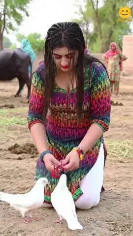 Gentle bracelet fitting on pigeons at dawn #trending  #viral  #habiburahmanabid 