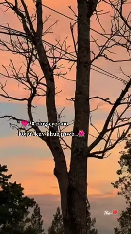leej muam dai siab💗#xh 