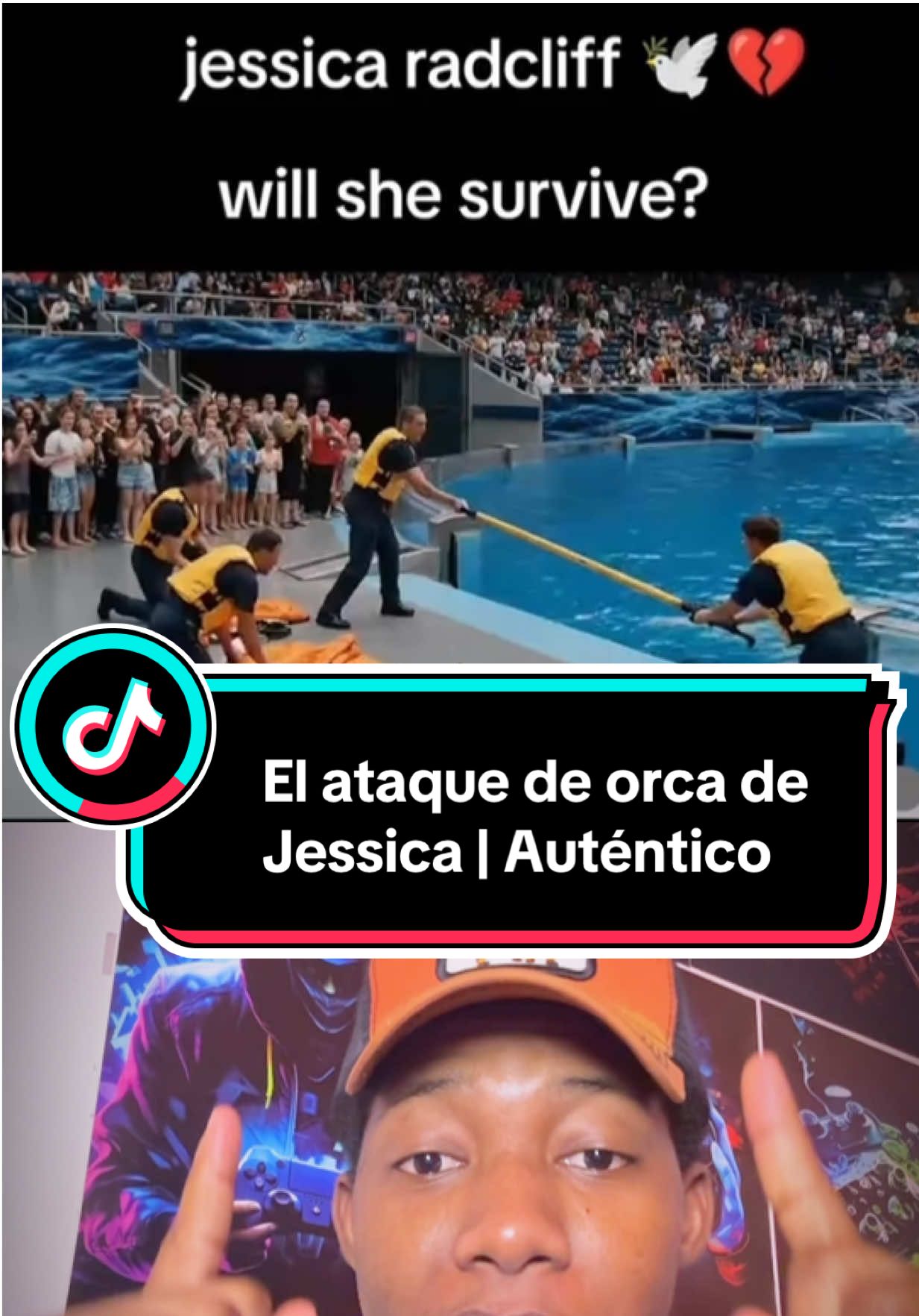 El ataque de orca de Jessica😭💔 #dolphin #view #viralvideo #creatorsearchinsights 