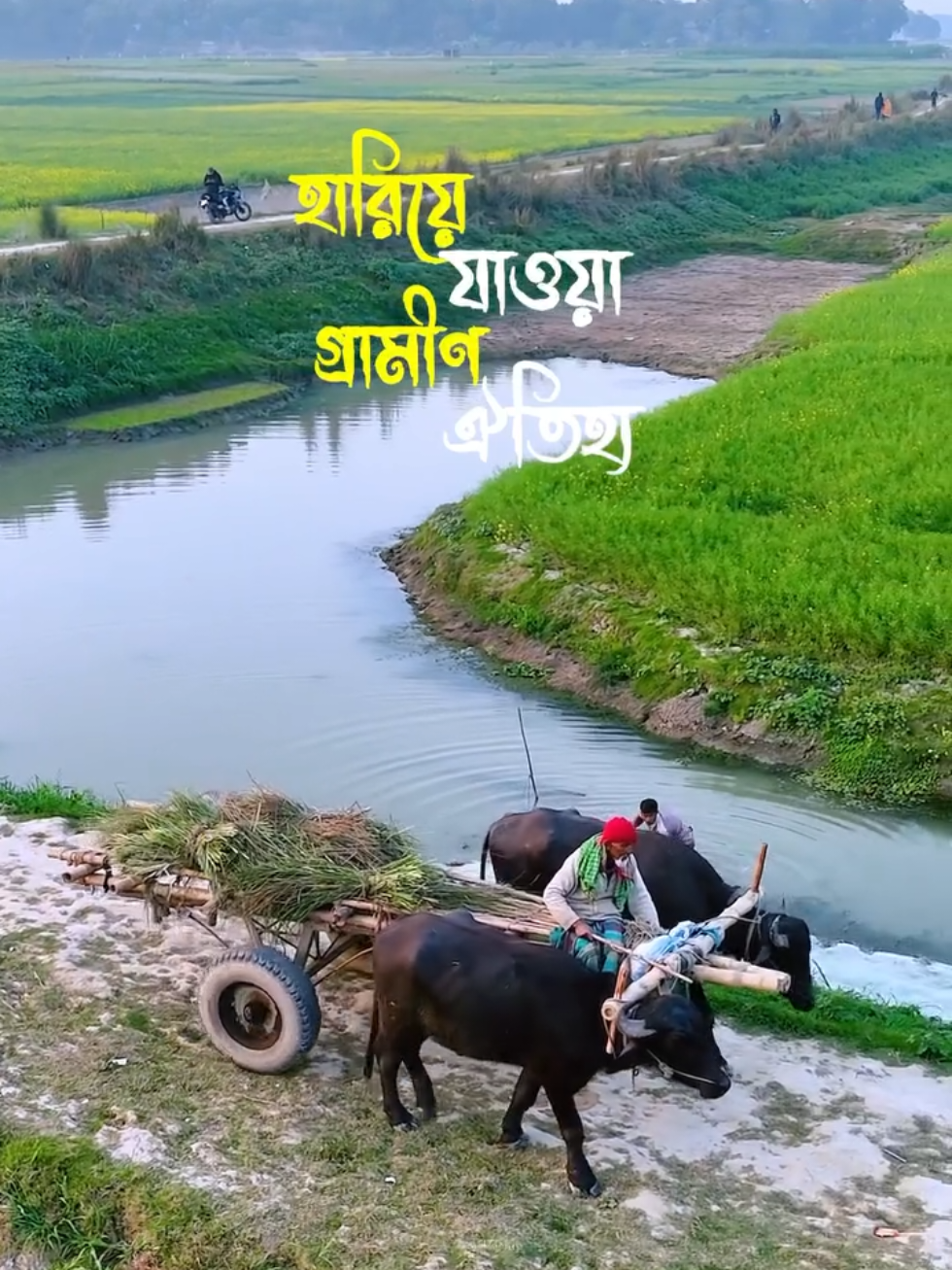 গ্রামে কাটানো দিন গুলা খুব মিস করি 😔😓#প্রকৃতিরঅপরূপসৌন্দর #গ্রামবাংলারদৃশ্য #unfrezzmyaccount #foryoupageofficiall #typ 