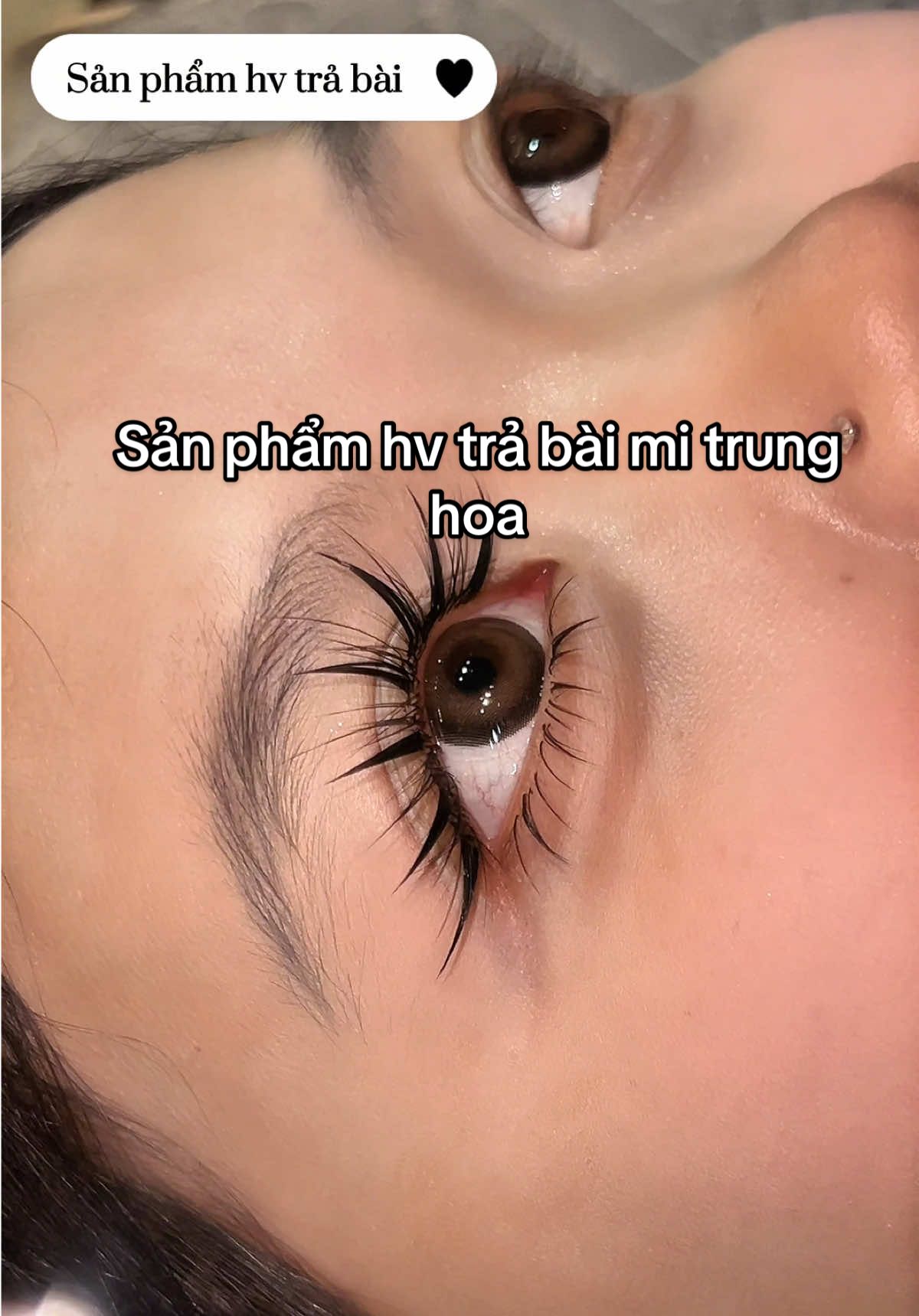 Sản phẩm hv nhà tui trả bài mi trung hoa #masterhaphuongeyelash #kythuatnoimi1nhip #kythuatnoimi2nhip #noimidephanoi #chuyendaotaonoi 