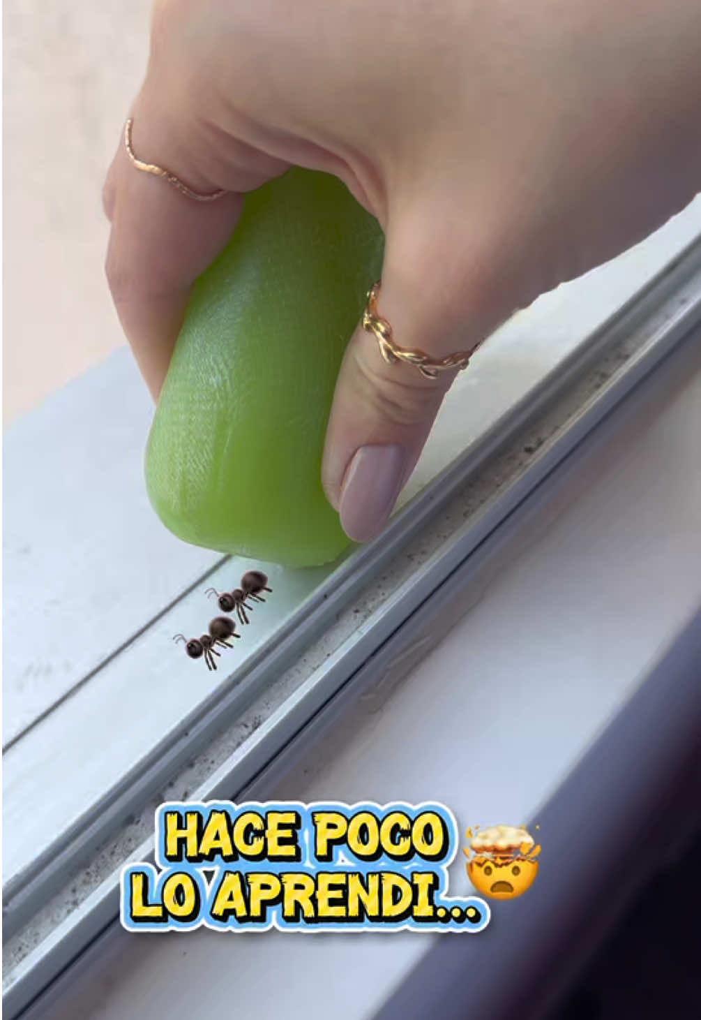 Así evitarás que los insectos entren a tu casa #ideas #hacks #Home #amadecasa #tips
