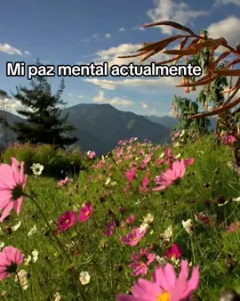 No me importa #iwasentme #regaeton #musica #musicaeningles #nolehagascasoalagente 