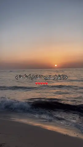 #سورة_التوبة #قران #foryou #fyp 