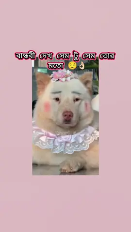 Mention Your friend 😂😂😂👍🏻👍🏻#papri_6 #ﾶ乇ｷｲﾑんひﾚﾌﾑ刀刀ﾑｲｱﾑｱ尺ﾉ #funnyvideo #foryou #coppyvideo 