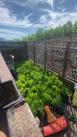Trành thủ buổi sáng chiều làm thêm pass nữa 