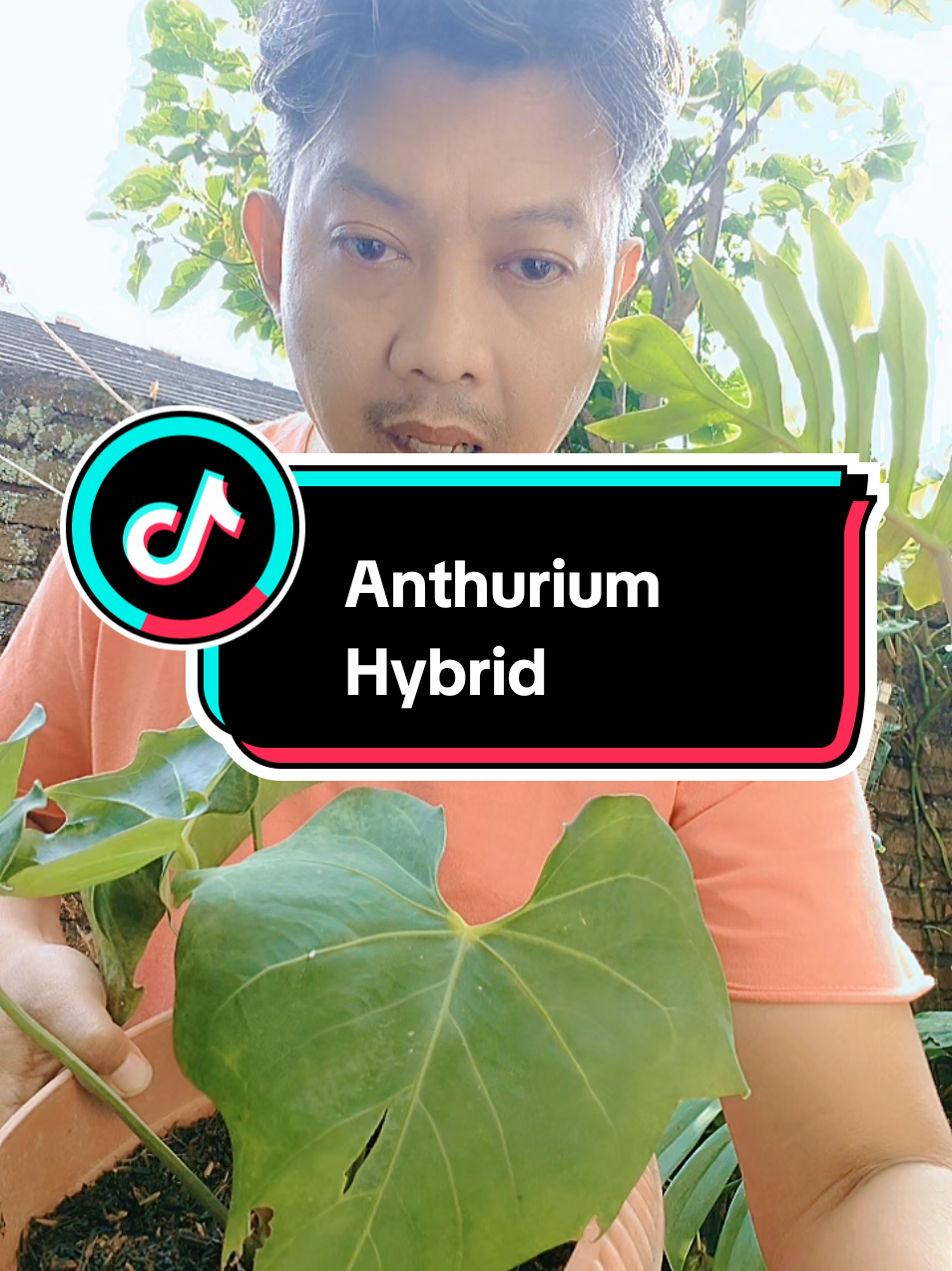 #pecintatanamanhias #plants 