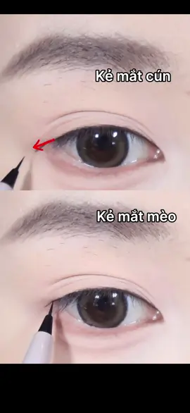 Bạn sẽ lựa chọn kiểu kẻ mắt nào cho bản thân? #tiktok #makeup #Eyeliner #eyes #fyp 