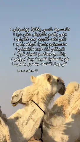 واضـــح جفاهـــم للعيان تـورا🔥.#fyp #شعر_ليبي #foru #ع_فاهق #طبرق #سبها_ليبيا_الجنوب_الليبي #fypシ゚ #هواجيس #ليبيا 
