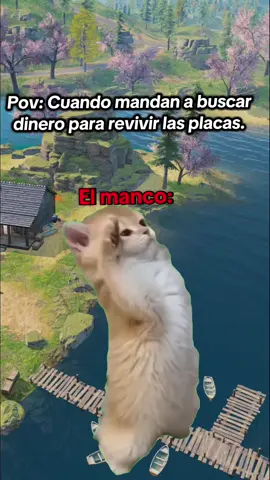 siempre fieles nosotros los mancos 😂 #codmviral #codmfyp #codmemes  #mancorecogeplacas #codm 
