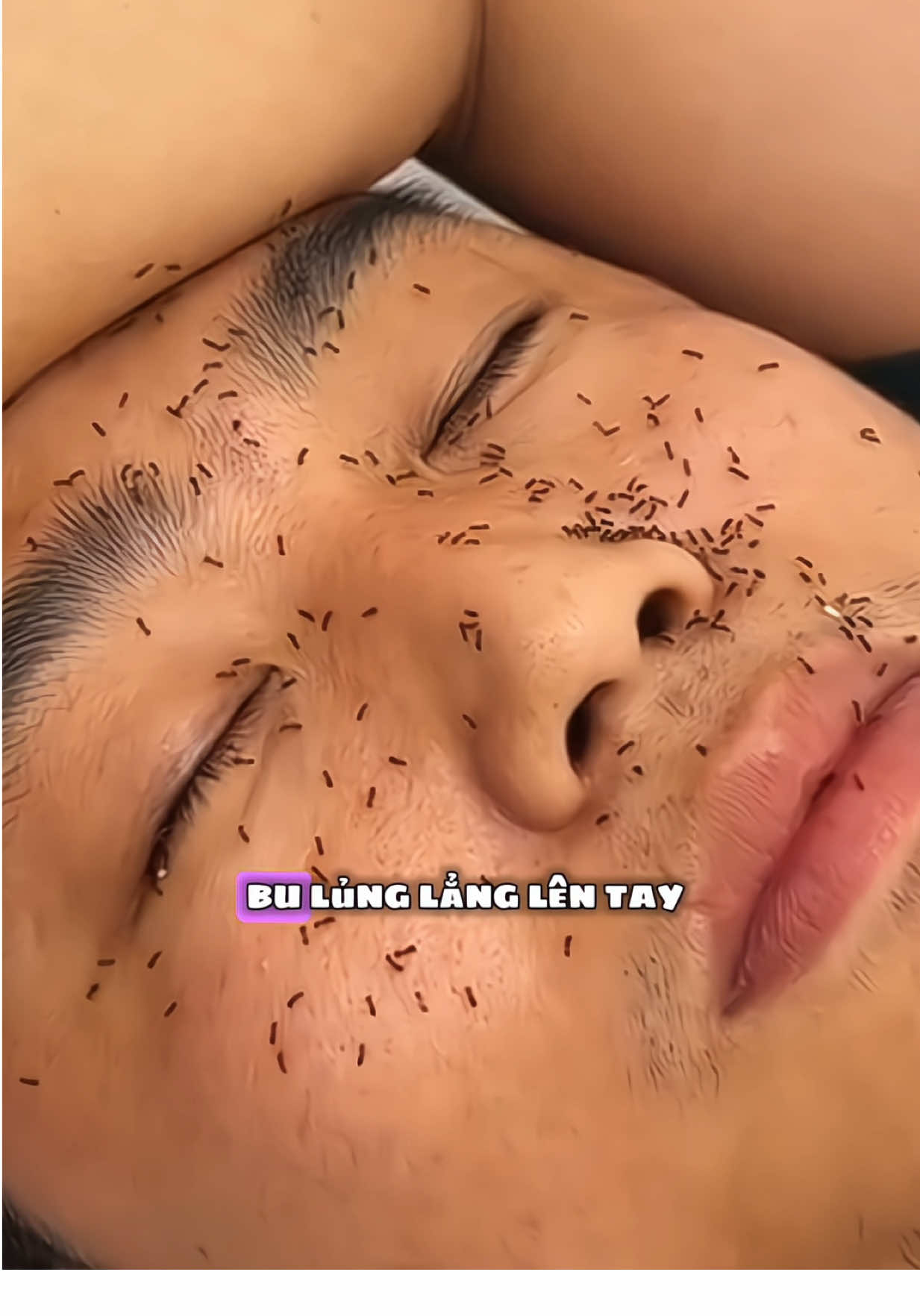 10 lọ nước nhỏ kiến sinh học hơn 50 🐟 #lonuocnhokiengiansinhhoc #nuocnhokiensinhhoc #nuocnhokiendan #nuocnhokiengian #byntchuyengiadung 
