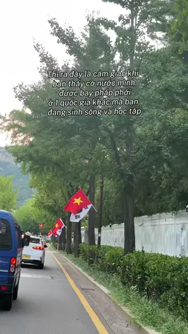 Cảm giác này thật khó tả🥹🫶🏻🇻🇳 #vietnam #vietnamtoiyeu #duhocsinhhanquoc 
