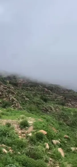 ###