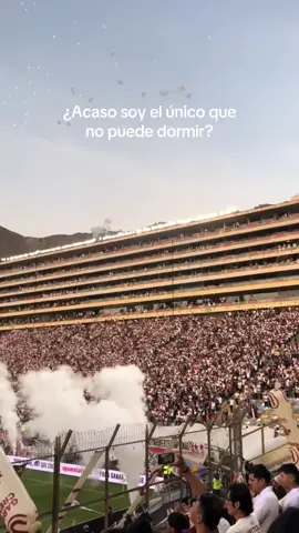 Crema de mi vida💛❤️ #universitariodedeportes #ydaleu #campeon #crema #libertadores 