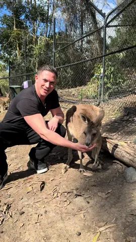 With skippy 🇦🇺 