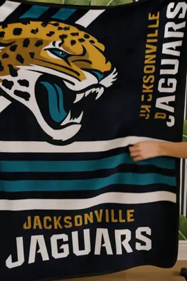 Deals for u: Logo Brands NFL Raschel Throw Blanket