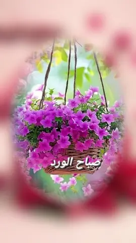 #CapCut #صباحكم_أحلى_صباح #الكويت #تونس_المغرب_الجزائر_ليبيا_ #العراق_السعوديه_الاردن_الخليج 