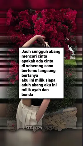 Cinta dari Seberang#CapCut#masukberandafyp #fyp #dzikryprst #dzikryar #cintadariseberang 