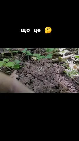 #деус #пошуки_старовини #хочуврекомендации #срібло 