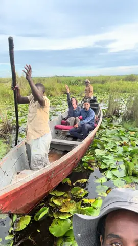 We are here to make your dreams come true # visit Mabamba Swamp for shoebills and birding activities!!