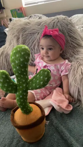 Her face 💀 #talkingcactus #babytok #babygirl #MomsofTikTok #talkingcactus🌵 