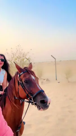 MS9#stable #Dubai #🐎 #✌️✌️✌️🇵🇰❤️❤️ 