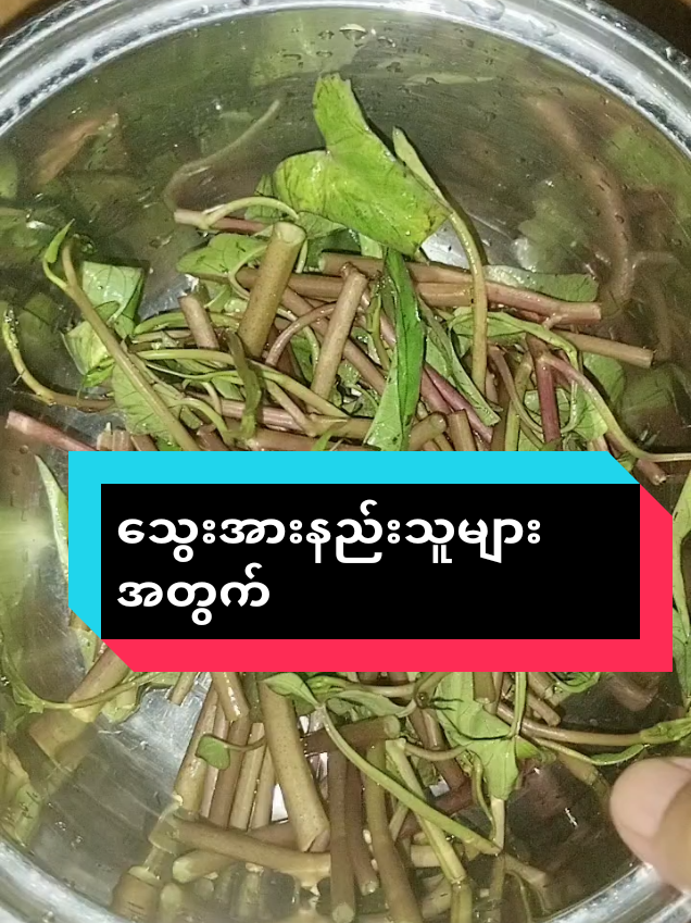 #ကန်စွန်းရိုးနီ #သွေးအားနည်းသူများအတွက်#ကျန်းမာရေး #ရောက်စမ်းfypပေါ်😒myanmartiktok #foryou 