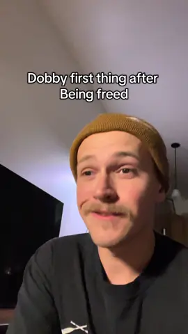 Dobby is a free elf #fyp #harrypotter 