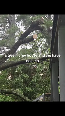 a tree hit our house and long story short no help